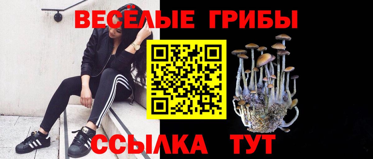 Кострома  Псилоцибиновые грибы Magic Shrooms  Галлюциногенные грибы мицелий  Вход с VPN 