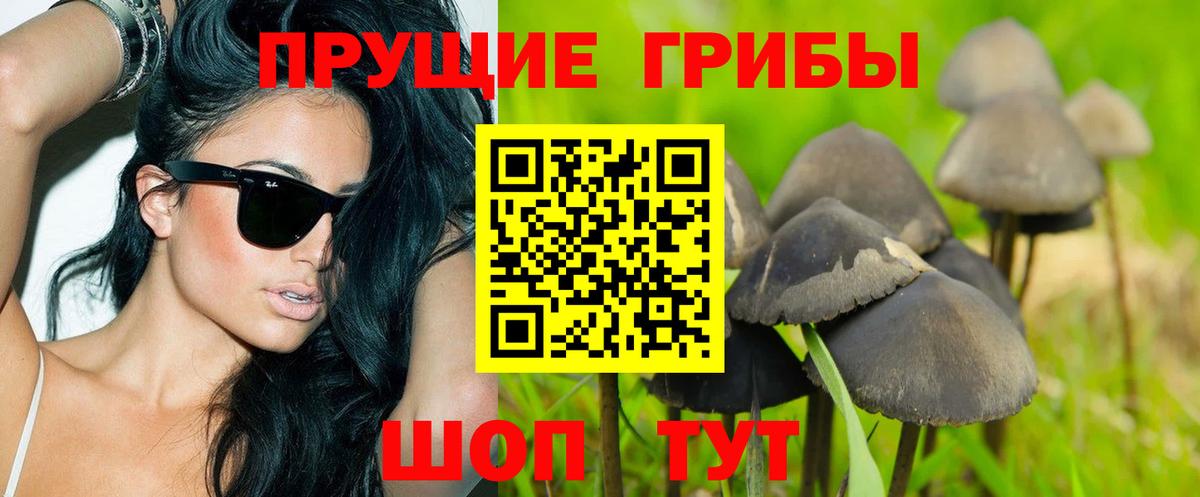 Галлюциногенные грибы MAGIC MUSHROOMS Кострома